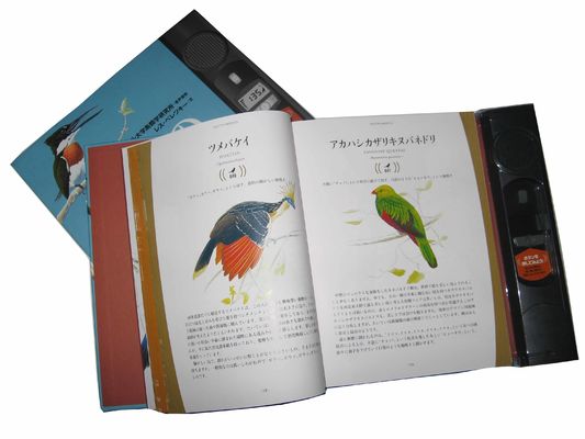 200pp Custom Book Offset Printing Services Hardcover Magazine Catalogue Matte Lamination