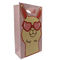 Paper Gift Bag with Window Handle and Colorful Printing Shopping Paper Bag for Clothing