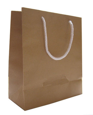 Recycled Shopping Branded Paper Bags Gift Custom Printing OPP High End 350 GSM